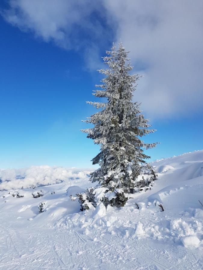 Flachauer Bergkristall Exteriör bild